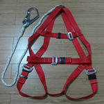 Full Body Harness