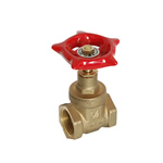 Gate Valve