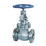 Globe Valve
